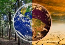Cat de importanta este conferinta climatica ONU – COP27?