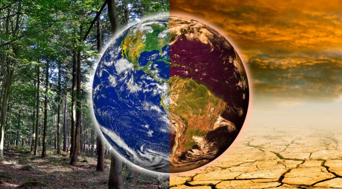 Cat de importanta este conferinta climatica ONU – COP27?