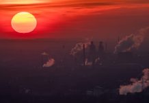 Cum a devenit clima, noua linie de front a razboiului cultural?