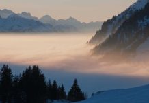 Cum sa devii confortabil cu incertitudinea?