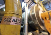 Europa a cerut sa economiseasca gaze naturale pentru a evita penuria anul viitor