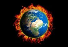 Ce au facut liderii globali cu privire la schimbarile climatice in 2022?