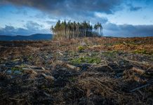 Cum ne afecteaza schimbarile climatice si crizele de mediu ale momentului?