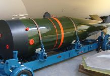 Ministrul german spune ca Europa are nevoie de arme nucleare britanice si franceze