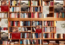 Cele mai bune 30 de romane scurte sub 250 de pagini