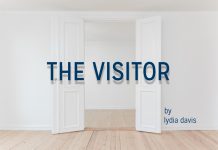 Rezumat: „The Visitor” de Lydia Davis