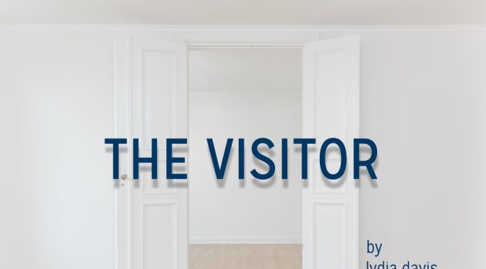 Rezumat: „The Visitor” de Lydia Davis