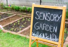 Planteaza o floare pentru copiii cu dizabilitati. Contribuie și tu la Construirea Grădinii.