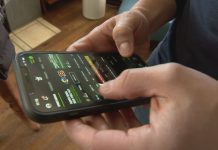 Ecranul Nou: Cum Se Reinventează Media de Sport și Divertisment în România